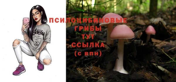 не бодяженный Магас