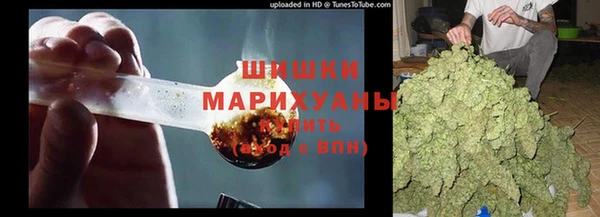 шишки Магадан