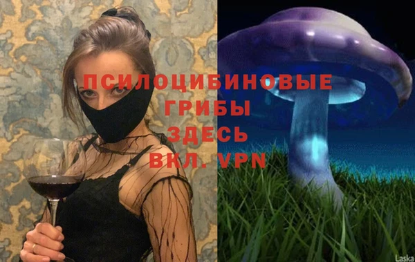 шишки Магадан