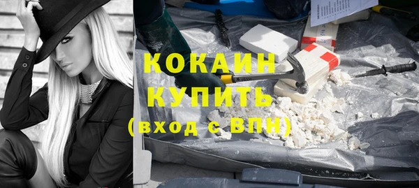 шишки Магадан