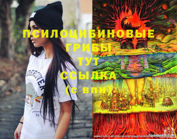 mdpv Майский
