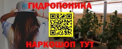 сатива Беслан