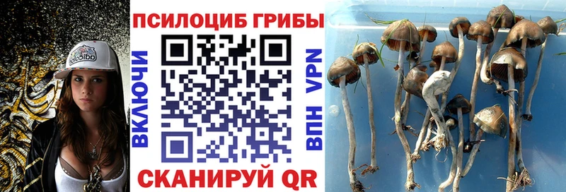 Галлюциногенные грибы прущие грибы  Кемерово 