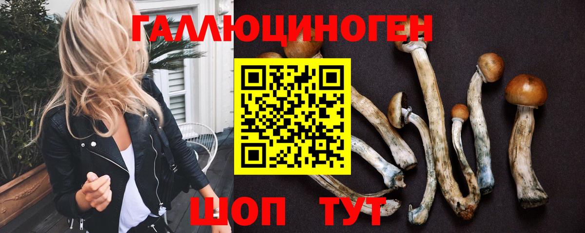 продажа наркотиков  Псилоцибиновые грибы Cubensis  Вход с VPN  Кемерово 