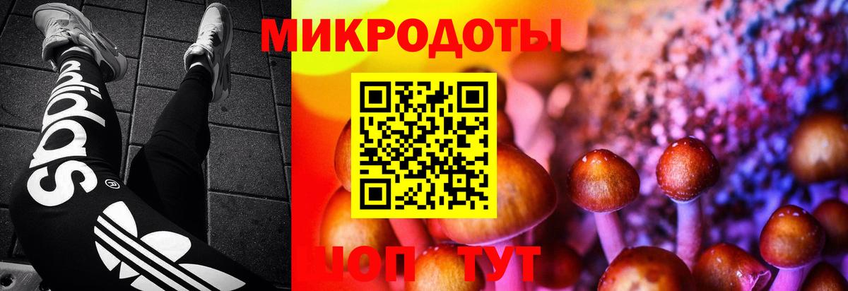 сколько стоит  Кемерово  Псилоцибиновые грибы GOLDEN TEACHER 