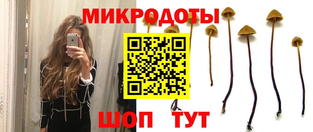 Галлюциногенные грибы ЛСД Кемерово